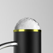 Dual Head Floor Lamp Aurora Projector Lights