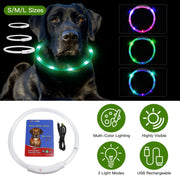 USB Rechargeable LED Dog Collar For Night Walking