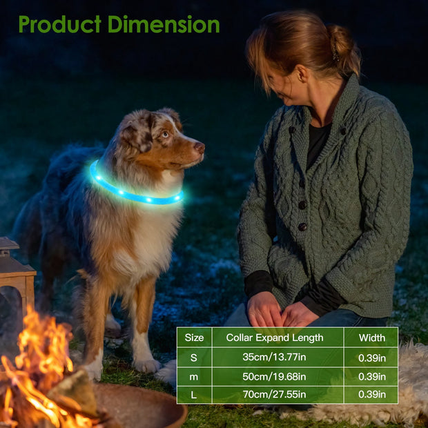 USB Rechargeable LED Dog Collar For Night Walking