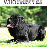 Lion Mane Wig for Dogs with Ears, Funny Pet Costumes for Halloween Christmas Medium to Large Breed