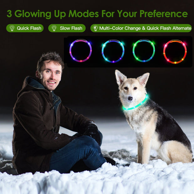 USB Rechargeable LED Dog Collar For Night Walking