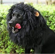 Lion Mane Wig for Dogs with Ears, Funny Pet Costumes for Halloween Christmas Medium to Large Breed