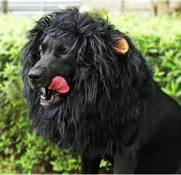 Lion Mane Wig for Dogs with Ears, Funny Pet Costumes for Halloween Christmas Medium to Large Breed